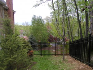 Aluminum Ornamental Fence